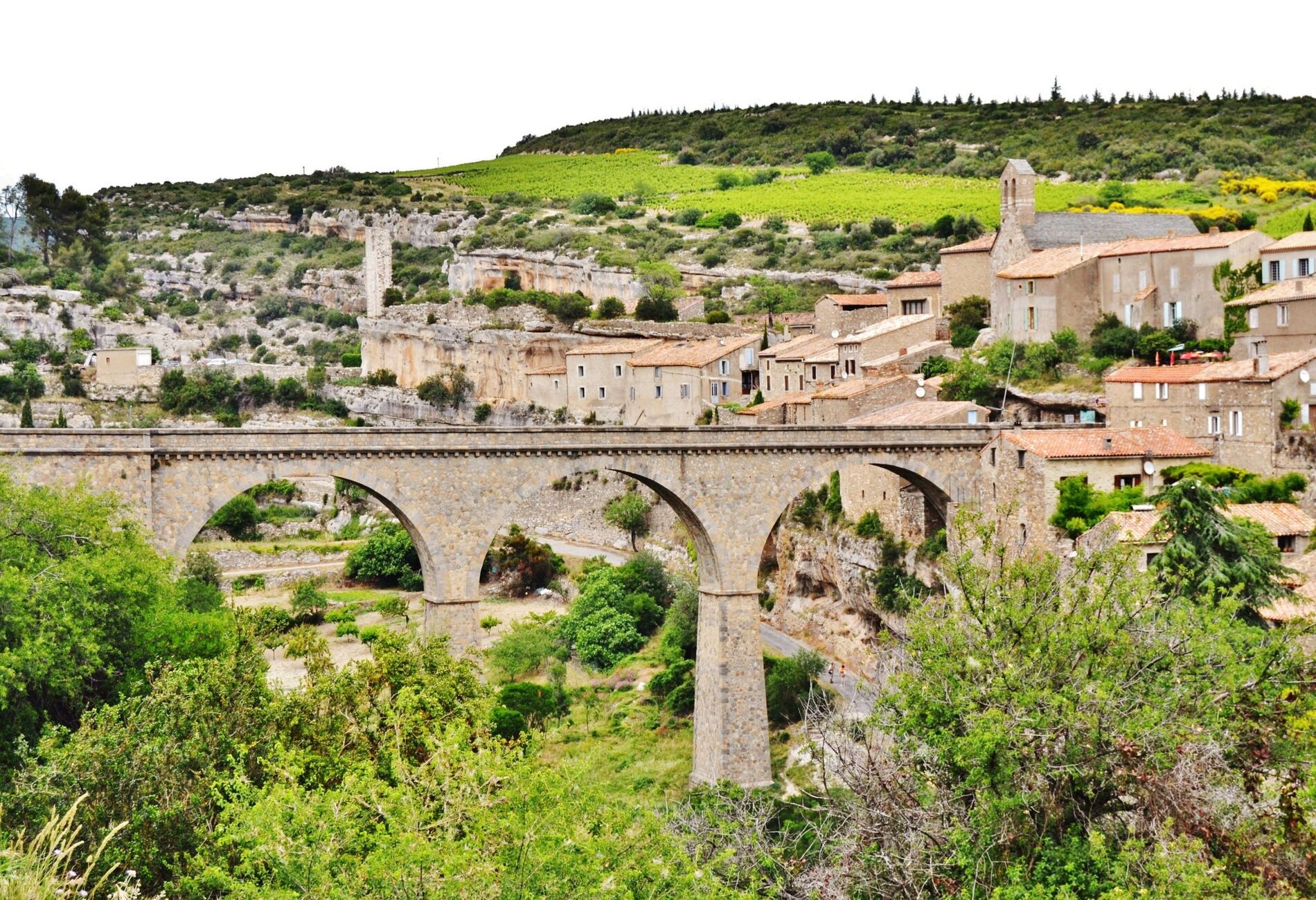 Minerve