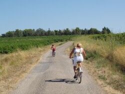 Fietsen huren in Sérignan Plage