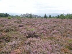 Een wandeling naar het plateau op de Caroux is een stevige klim, maar het uitzicht maakt alles goed.